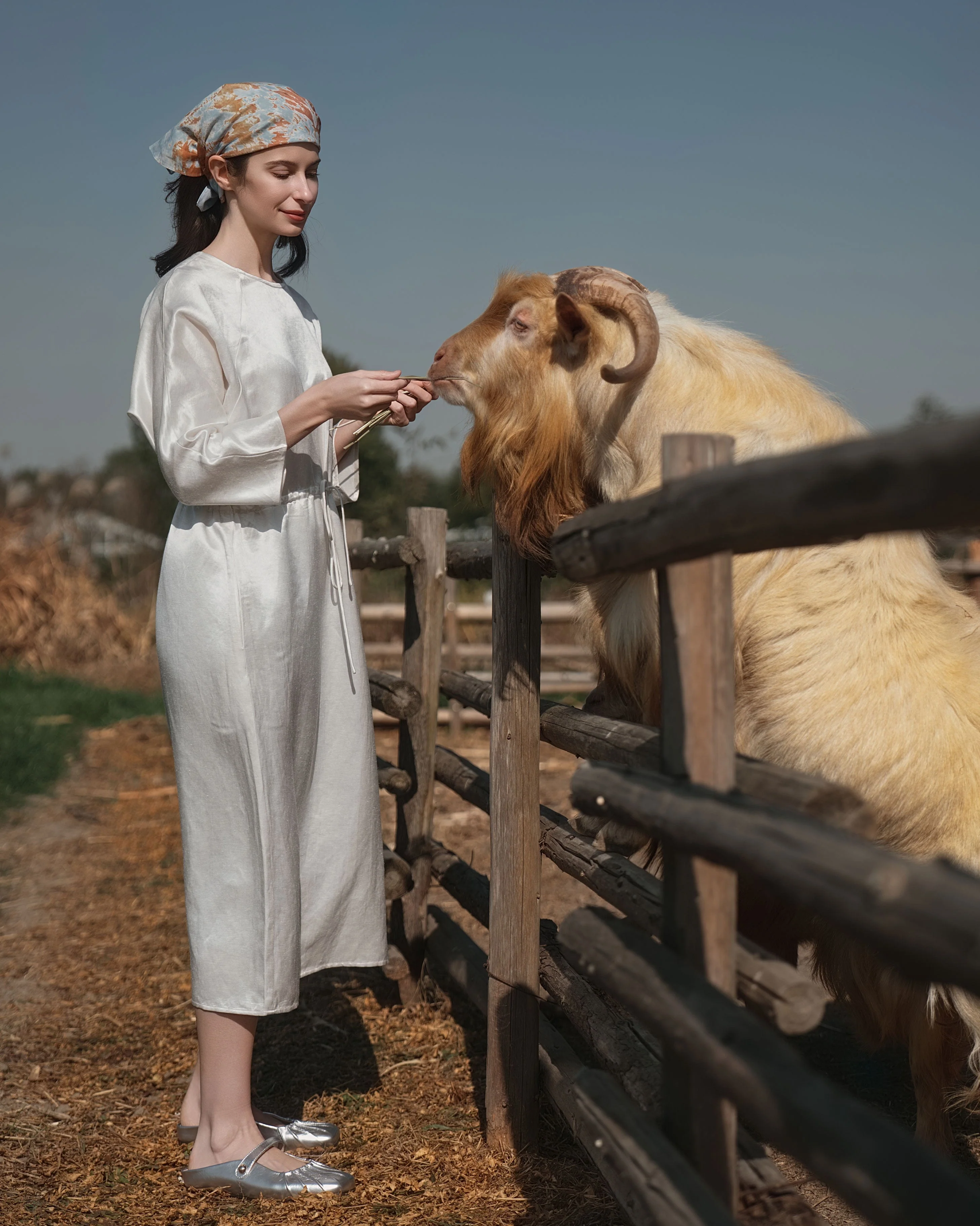 Aven 3/4 Sleeve Raglan Dress - Image 5