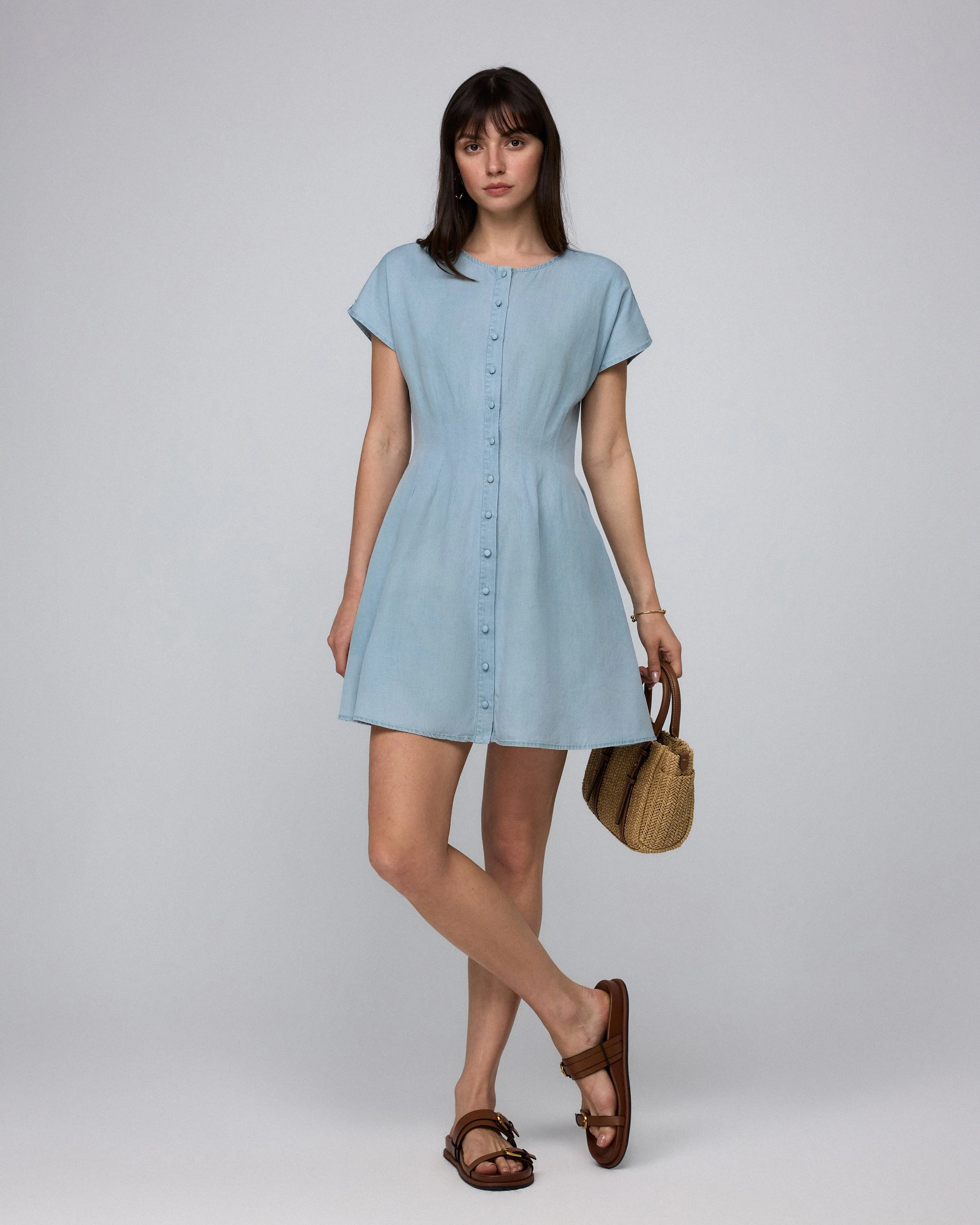 Faye Pleated Shirt Dress